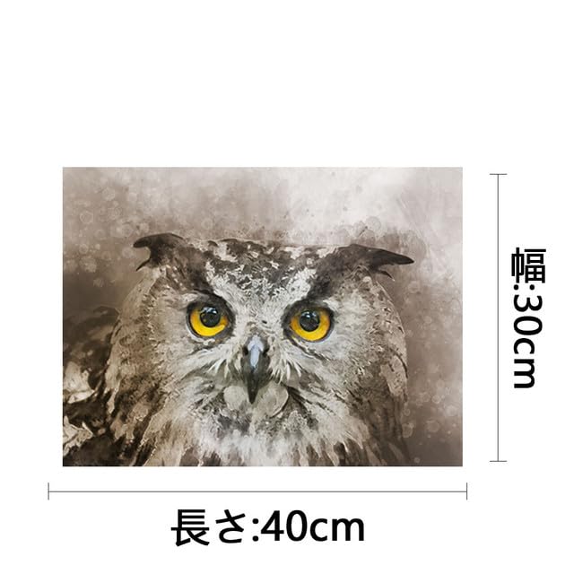 キャンバス油絵　シー　横顔もかわいい福を呼ぶふくろう　おもしろ現代アート風 Amazon.co.jp: 佐野千恵子 「 白ふくろう 」 油絵 ・ 油彩画 SM